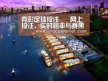 案例展示八