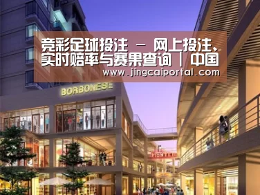 案例展示一