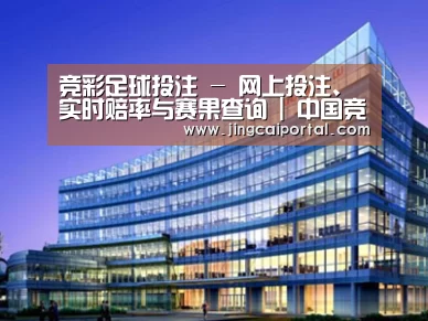 案例展示五
