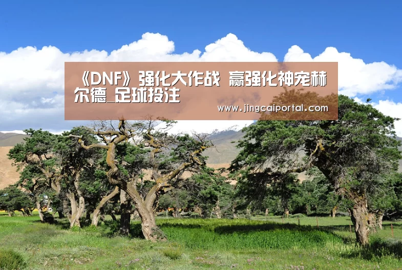 竞彩足球