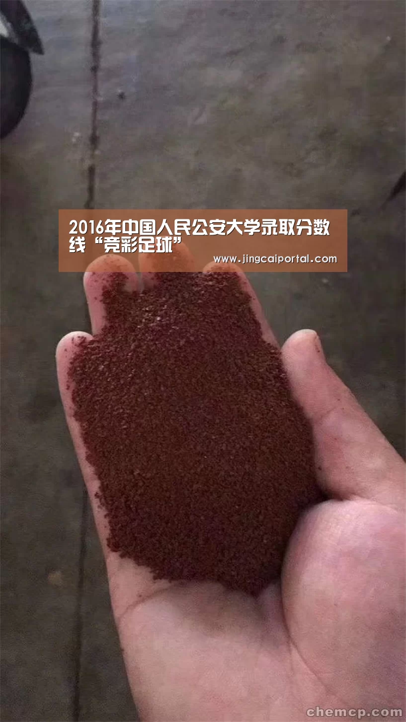 2016年中国人民公安大学录取分数线“竞彩足球”(图1) 竞彩足球