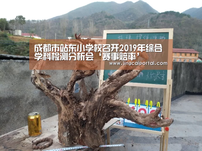 足球投注