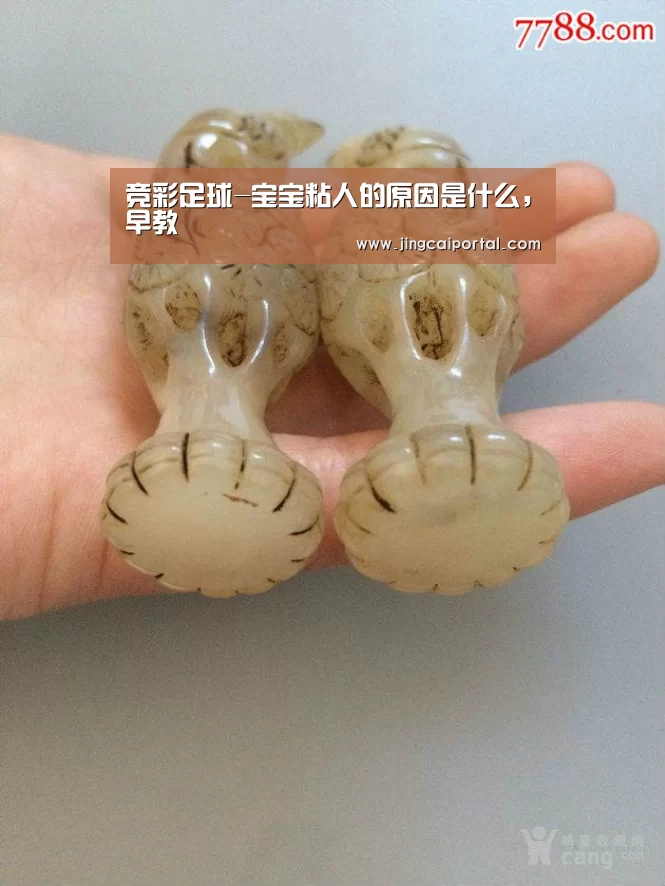 竞彩足球-宝宝粘人的原因是什么,早教(图1) 赛事赔率